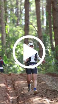 BIB:  <button type="button" onclick="openModal(26569584)" class="btn btn-primary btn-sm float-right" data-toggle="modal" data-target=".modal-high-quality">
                <i class="fa fa-download"></i> Download
                </button>